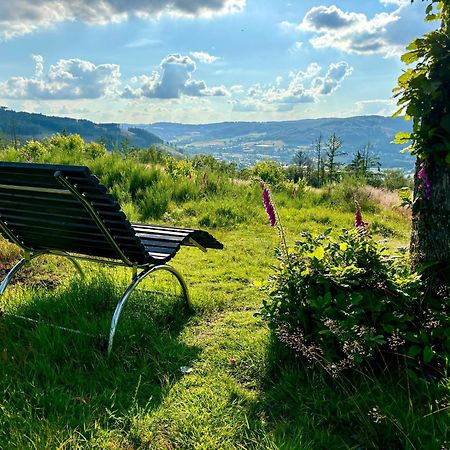 Traumwohnung Mit Sauna & Kamin, Direkt Am Wald 普莱滕贝格 外观 照片